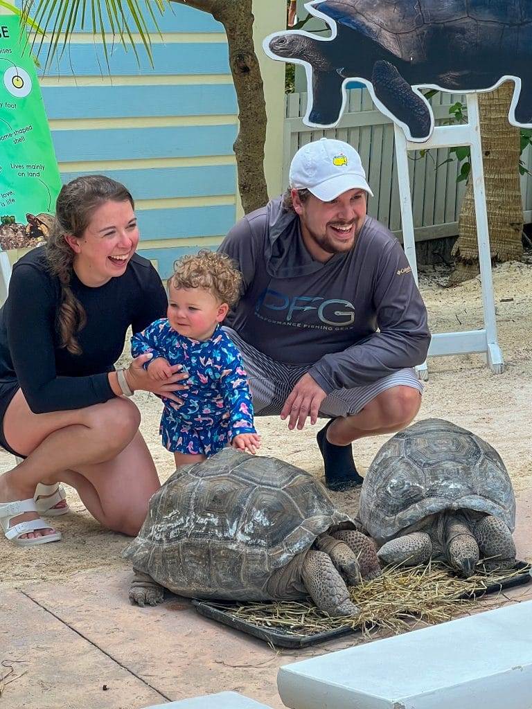 young couple enjoying tortoise experience at baha mar